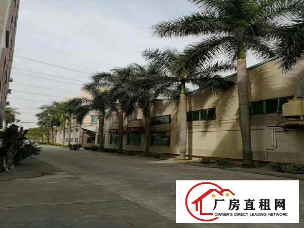  厚街赤岭厚街康乐南独院仓库厂房出租