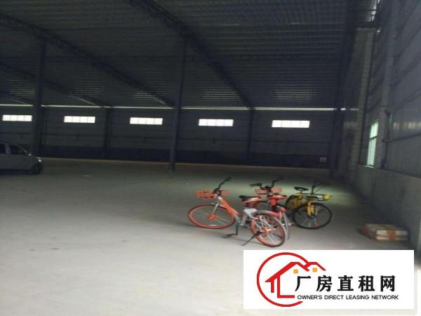  厚街白濠出租厚街赤岭厚街大量各类厂房物流仓库出租