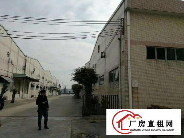  出租厚街汀山厚街现有独院标准厂房2600平方
