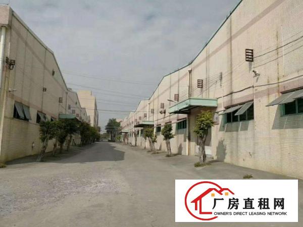  出租厚街汀山厚街现有独院标准厂房2600平方