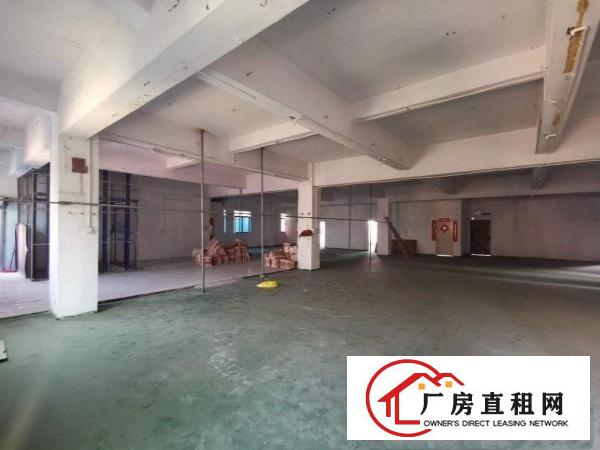  厚街临时仓库出租厂房加工厂