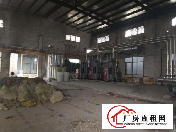  出租厚街镇原房东独院