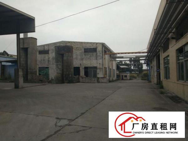  出租厚街镇原房东独院