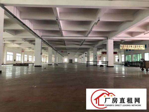  厚街镇八成新高大上厂房出租