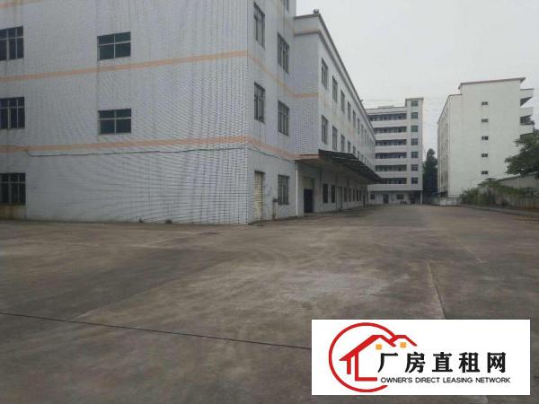  厚街镇八成新高大上厂房出租