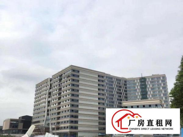  厂房出租，适合做写字楼或珠宝电子等行业