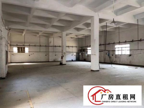  新塘厂房出租1300水电现成环评包过