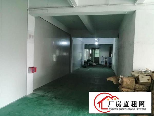  独门独院、现成的主线，地坪漆，办公室、卫生间，