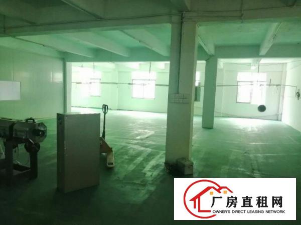  独门独院、现成的主线，地坪漆，办公室、卫生间，