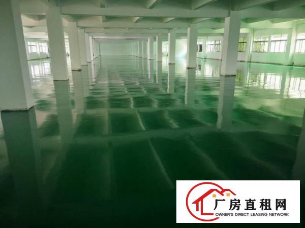  厚街康乐南优质厂房出租