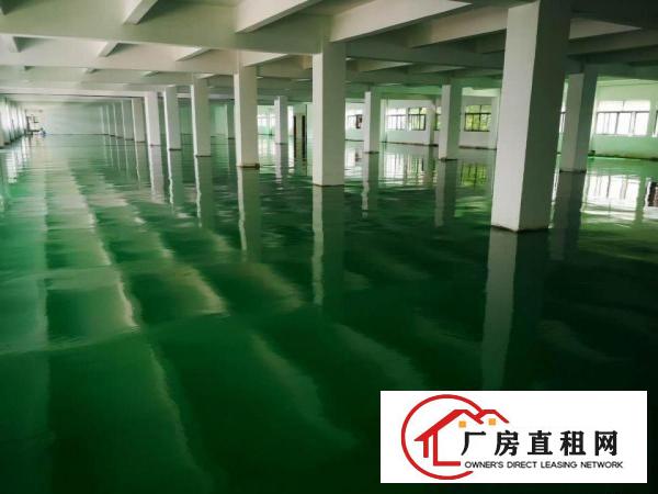  厚街康乐南优质厂房出租