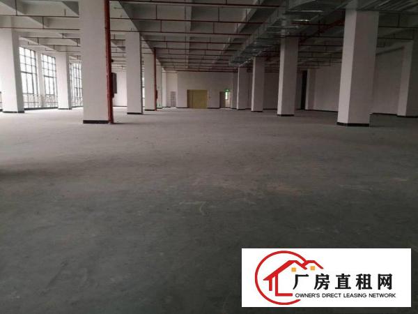  厚街白濠工业区1000平6米高厂房出租空地大形象好