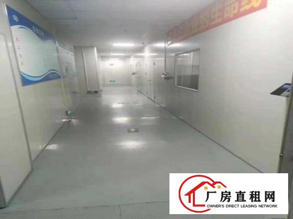  【无尘车间】新空出无尘车间1850方！