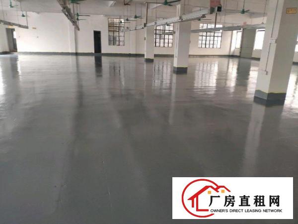  厚街原房东800平厂房直租