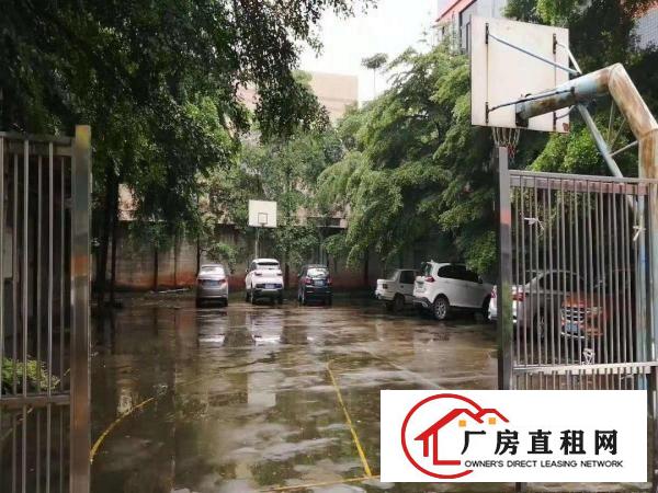  万江房东一楼厂房分租楼上厂房仓库装修水电齐全