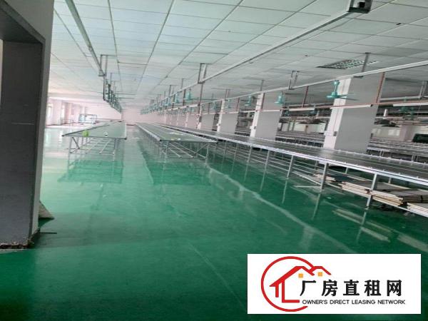  厚街原房东花园式独院厂房分租2300方现成地坪漆豪华办公室