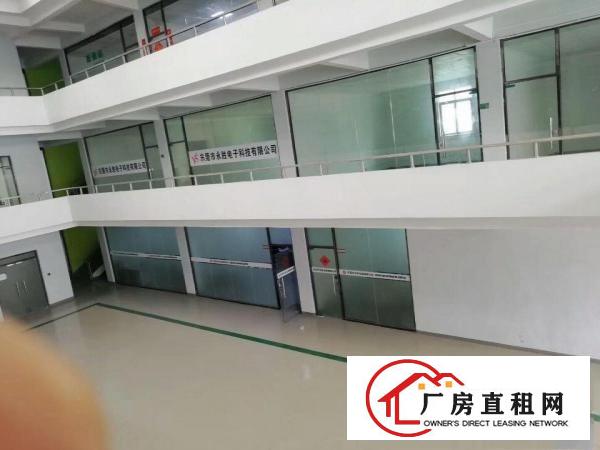  厚街康路南路花园式厂房