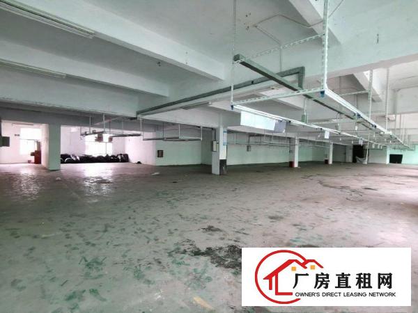  东莞厂房、仓库出租承诺不收取中介费