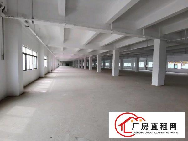  东莞厂房、仓库出租承诺不收取中介费