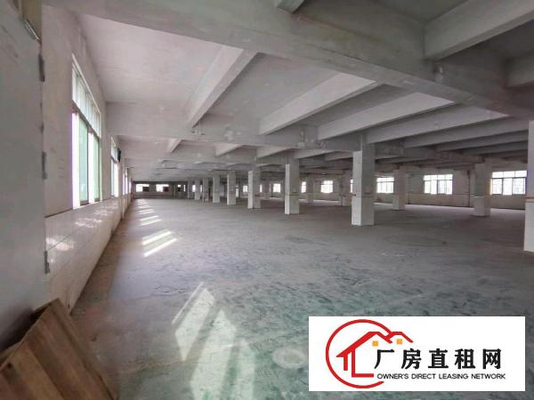  东莞厂房、仓库出租承诺不收取中介费