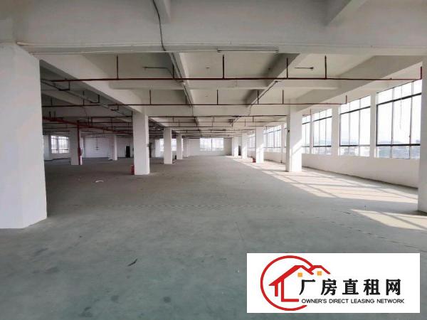  东莞厚街厂房出租，东莞虎门厂房出租，东莞厂房仓库出租，！