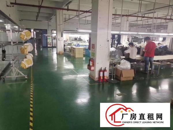  精装修全新厂房招租，非诚勿扰