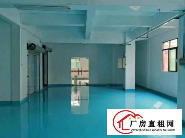 厚街新出全新装修现成厂房