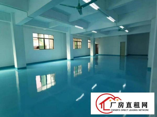  厚街新出全新装修现成厂房