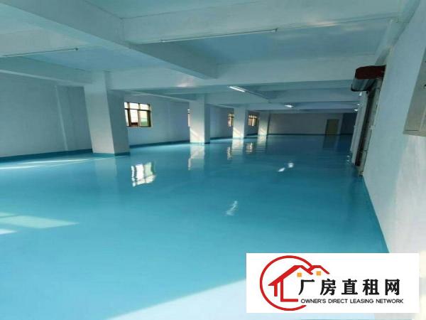  厚街新出全新装修现成厂房