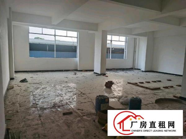  全新带电梯，可做厂房，电商，办公室等