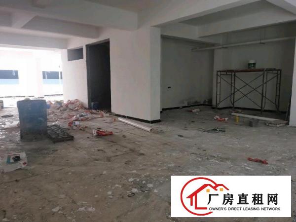  全新带电梯，可做厂房，电商，办公室等
