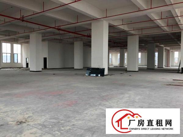  厚街大道全新厂房出租42000平方交通便利可任意分租
