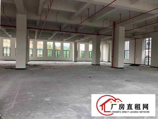  厚街全新厂房写字楼招商