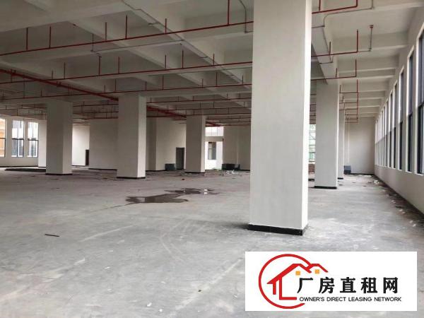  厚街全新厂房写字楼招商