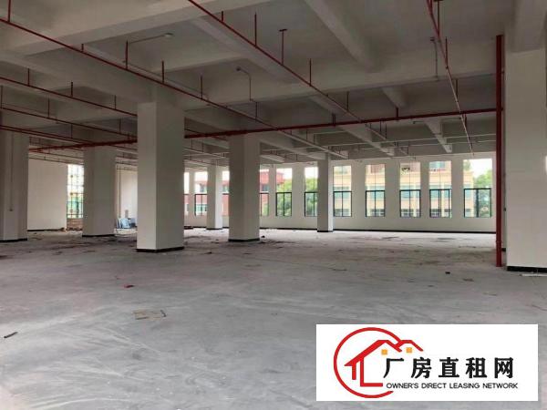  厚街全新厂房写字楼招商