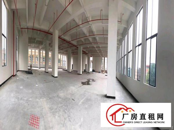  厚街全新厂房写字楼招商