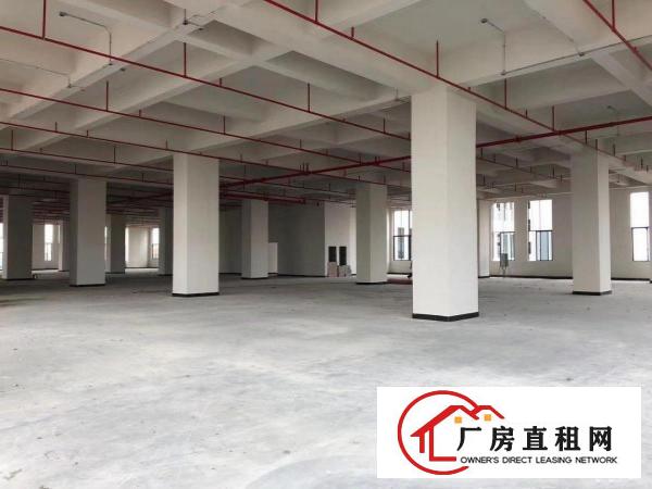  厚街全新厂房写字楼招商