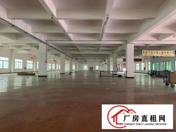  出租厚街镇的厂房真实图片真实价钱有各种各样的厂房