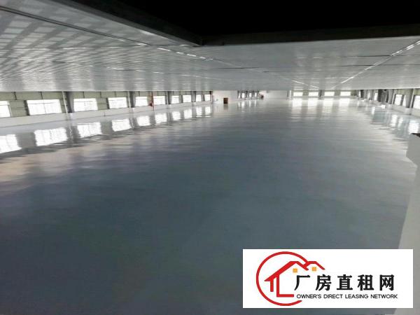  价格美丽，厂房位置好！