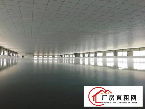  价格美丽，厂房位置好！