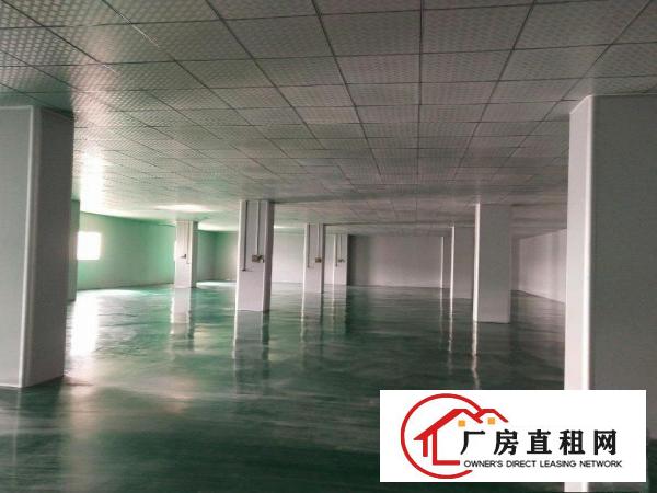  厚街靠近虎门现成精装修无尘车间整层1400平米，口罩车间标准