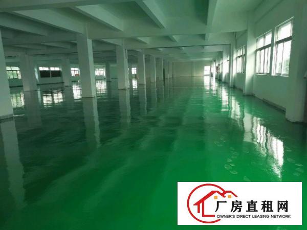  厚街高标准独院厂房分租二楼3600方，全新地坪漆