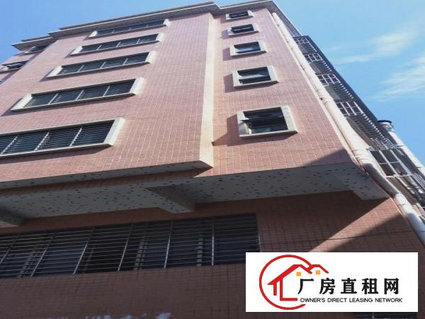  厂房宿舍楼出租整栋8000元每月