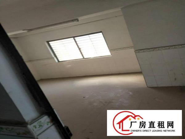  厂房宿舍楼出租整栋8000元每月