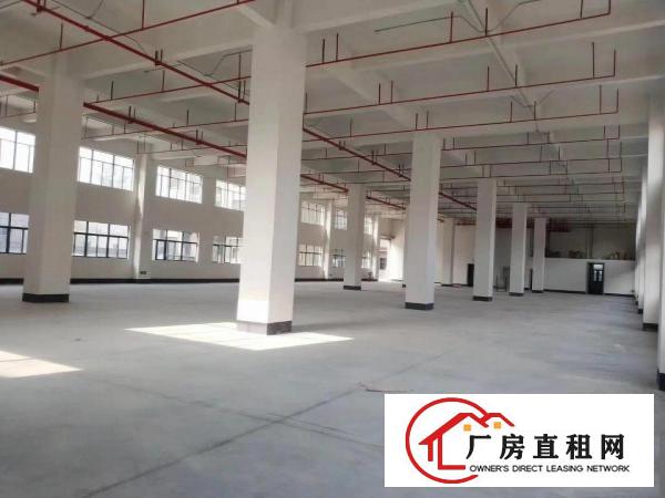  厚街溪头独门独院厂房出租12500平方，可分租