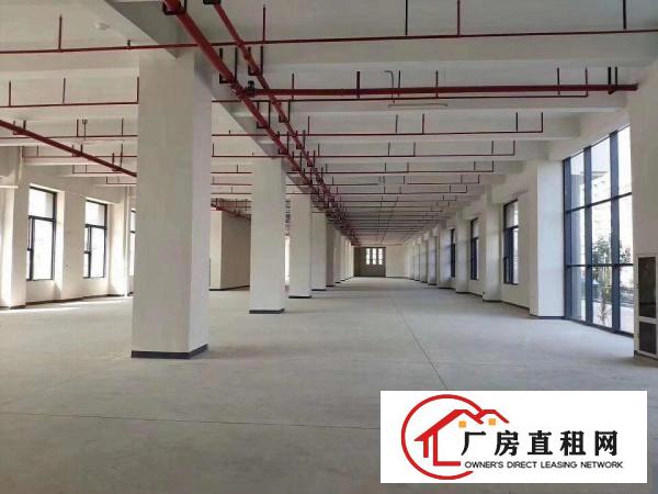  厚街溪头独门独院厂房出租12500平方，可分租