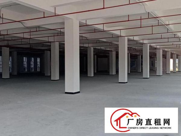  厚街溪头独门独院厂房出租12500平方，可分租