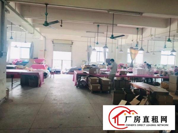  厚街镇白濠绿洲大道29号单层厂房出租