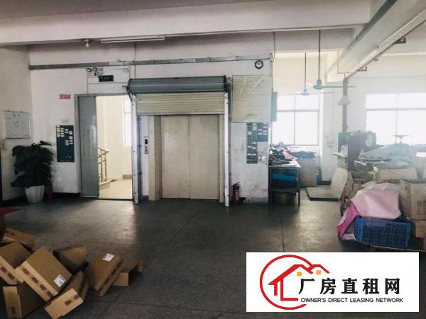  厚街镇白濠绿洲大道29号单层厂房出租