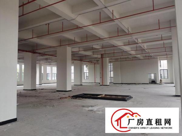  厚街大道新型厂房15155平方，可分租，环境优美，价格实惠